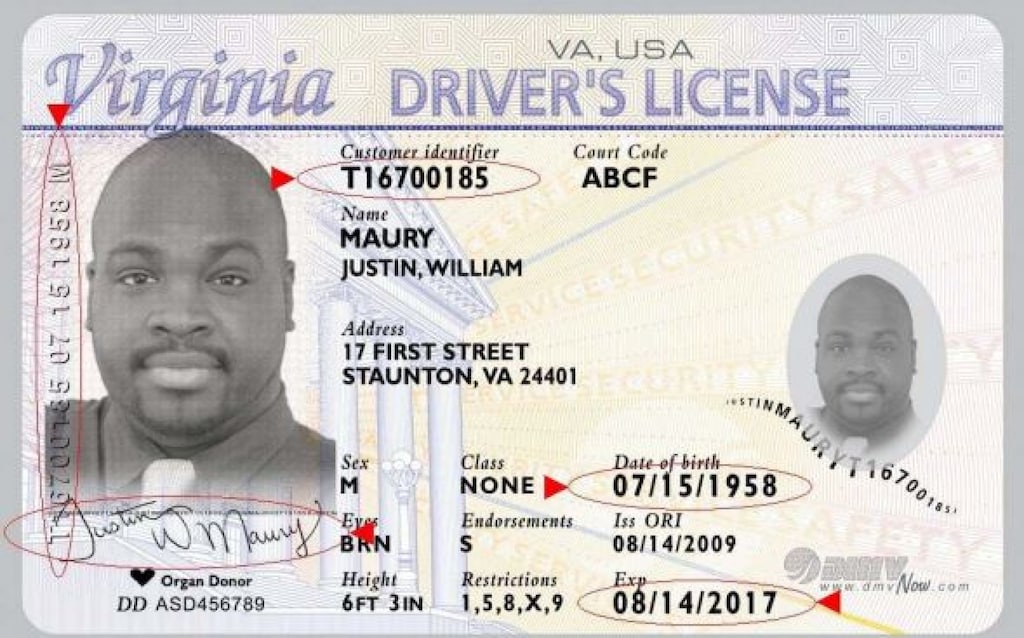 Virginia Drivers License Number Dd